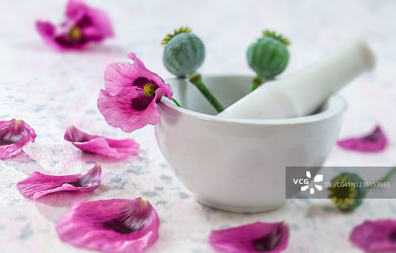 罂粟花图片素材