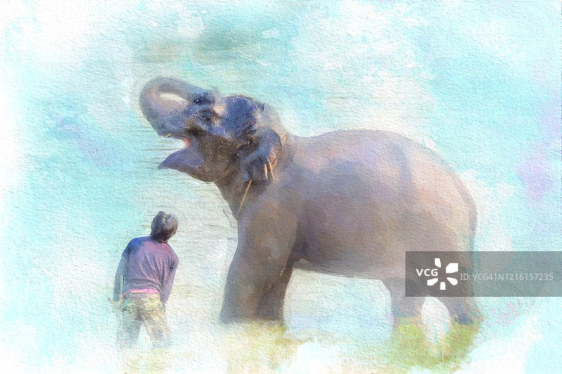 大象在玩水图片素材