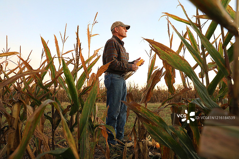 爱荷华州农民图片素材