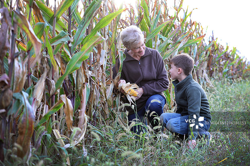 艾奥瓦州农场家庭图片素材