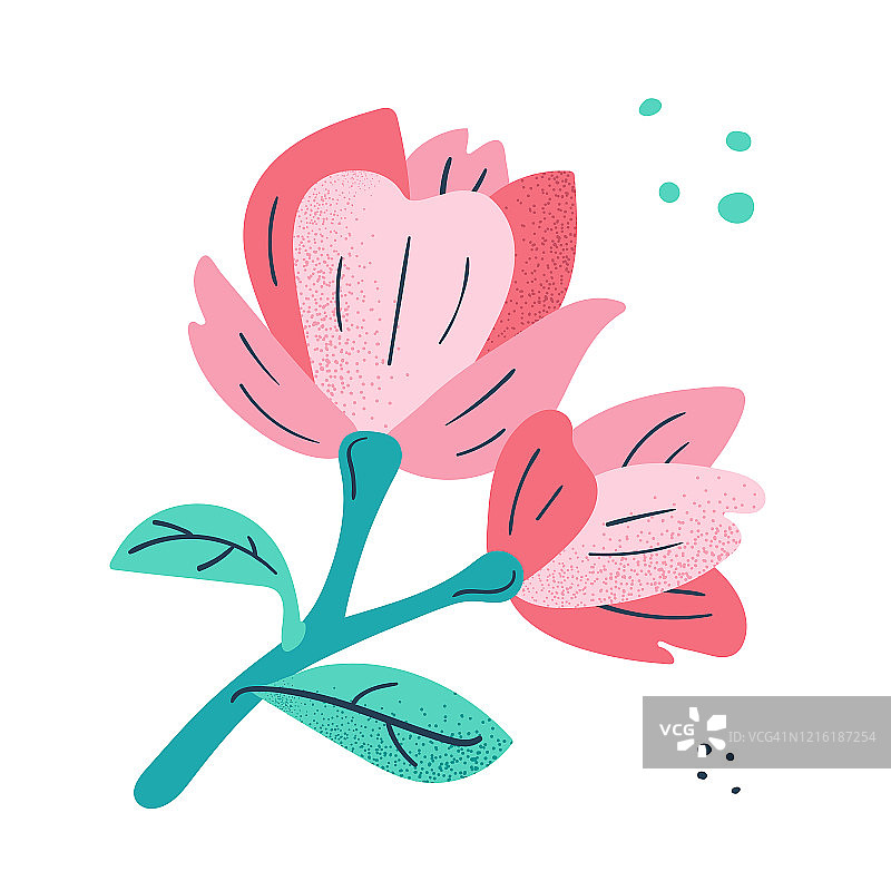 粉色小玉兰图片素材