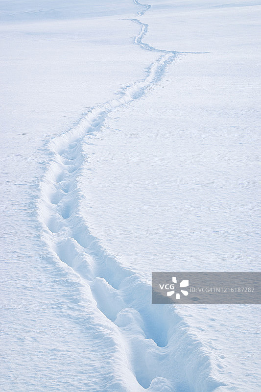 在雪中散步图片素材