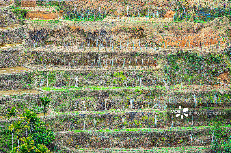 菲律宾伊富高巴纳韦的巴纳韦梯田图片素材
