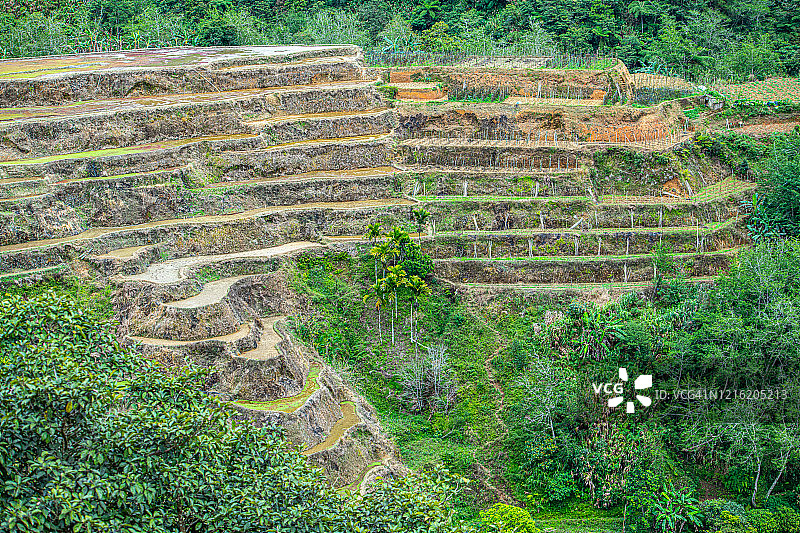 菲律宾伊富高巴纳韦的巴纳韦梯田图片素材
