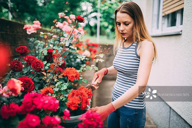 在后院种花的年轻女人图片素材