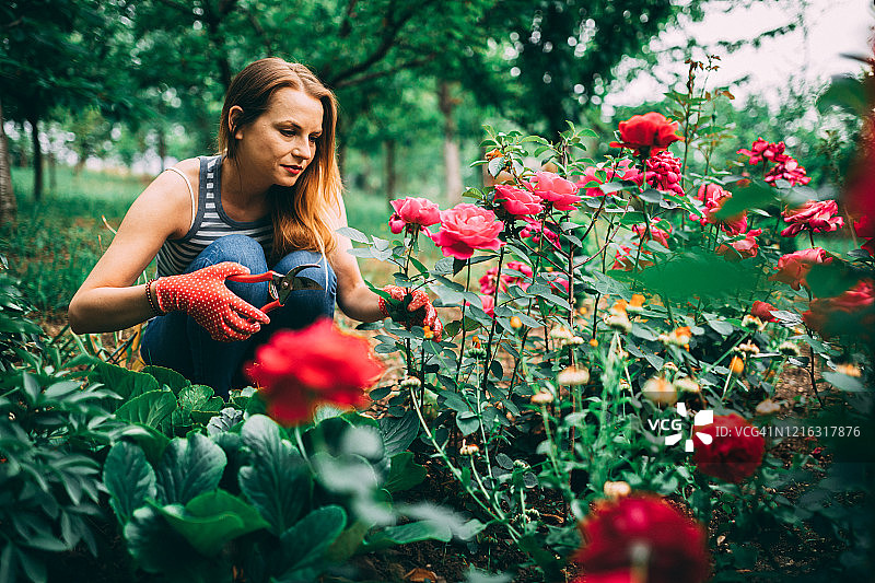 年轻女子在春日后院园艺图片素材