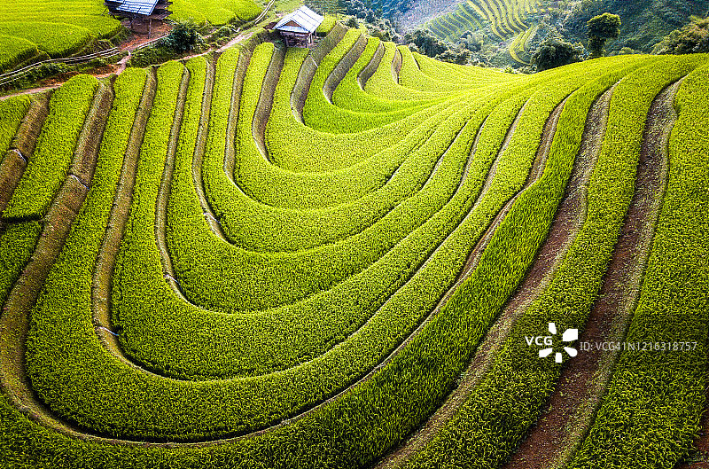 越南木江界美丽的梯田风光航拍全景（banner尺寸）图片素材
