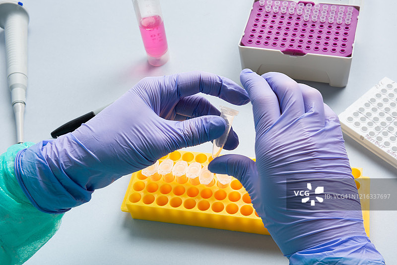 医务人员操作Eppendorf管图片素材