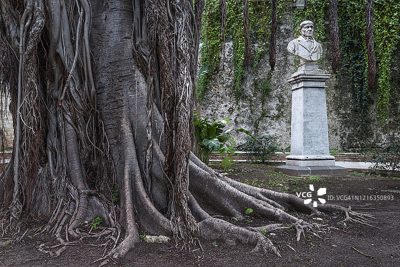 意大利西西里锡拉库扎市中心公园图片素材