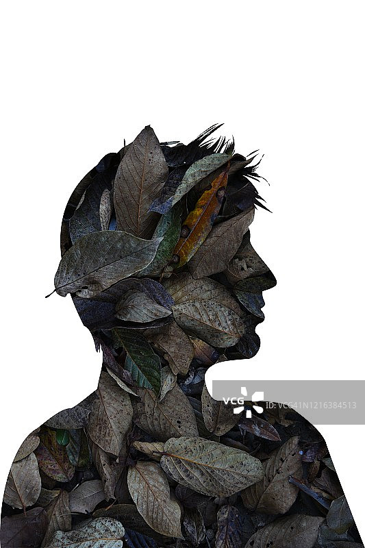 秋季抽象数字艺术图片素材