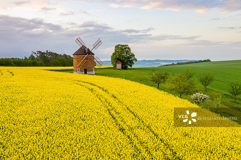 捷克摩拉维亚乡村风光：风车与油菜田图片素材