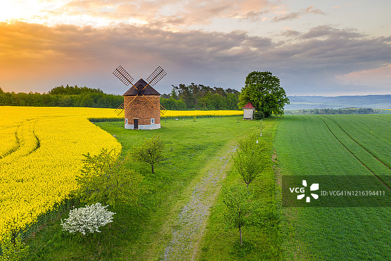 捷克摩拉维亚乡村风光：风车与油菜田图片素材