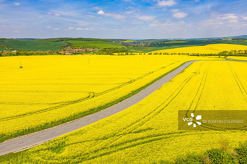 捷克摩拉维亚的道路与黄色油菜田图片素材