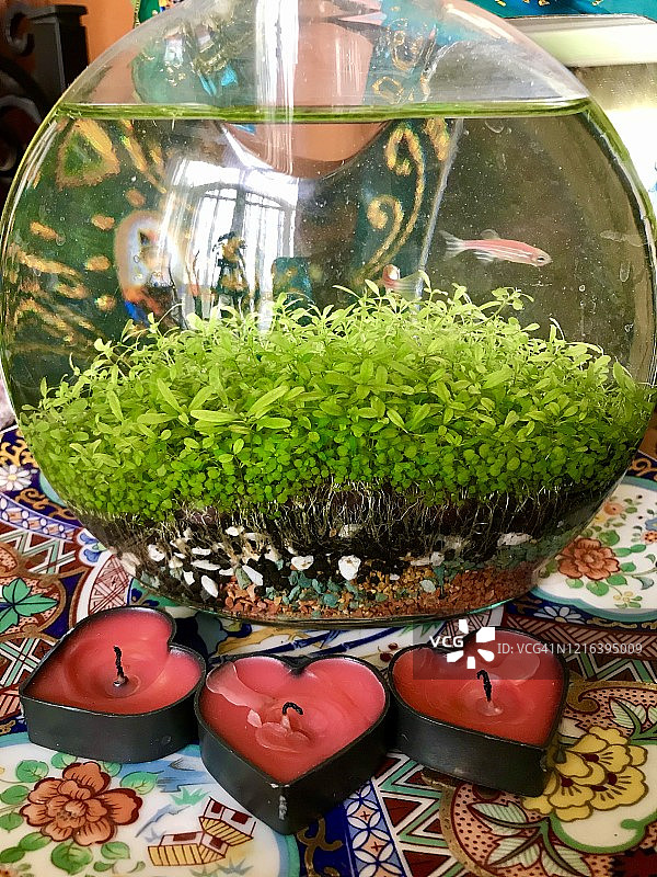 Haft-Sin的象征意义图片素材