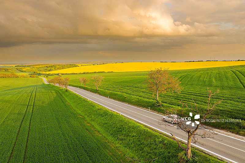 林荫道路和绿色田野，汽车图片素材