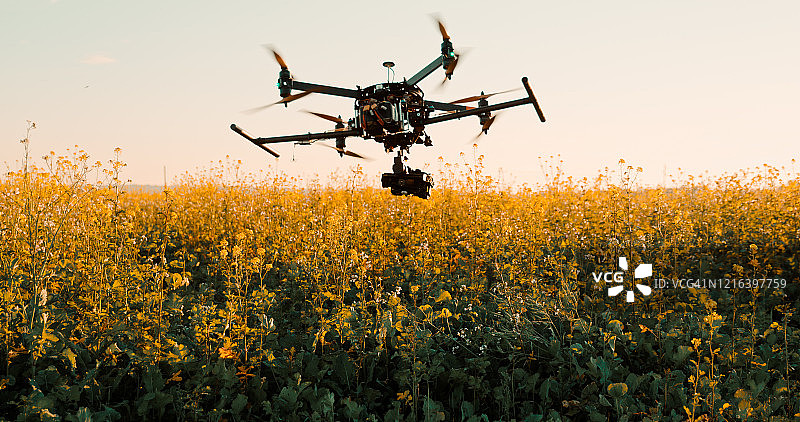 无人机低空飞过田野植物图片素材