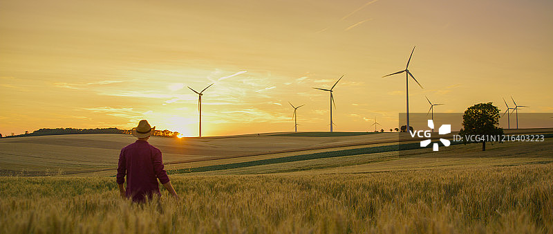 戴草帽的农民在日落时分的麦田里图片素材