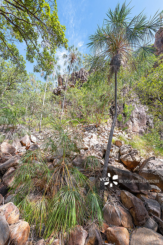 澳大利亚尼特米卢克国家公园图片素材