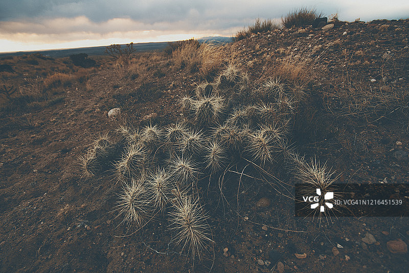 美国新墨西哥州阿尔伯克基西北部梅萨奥斯特沙漠图片素材