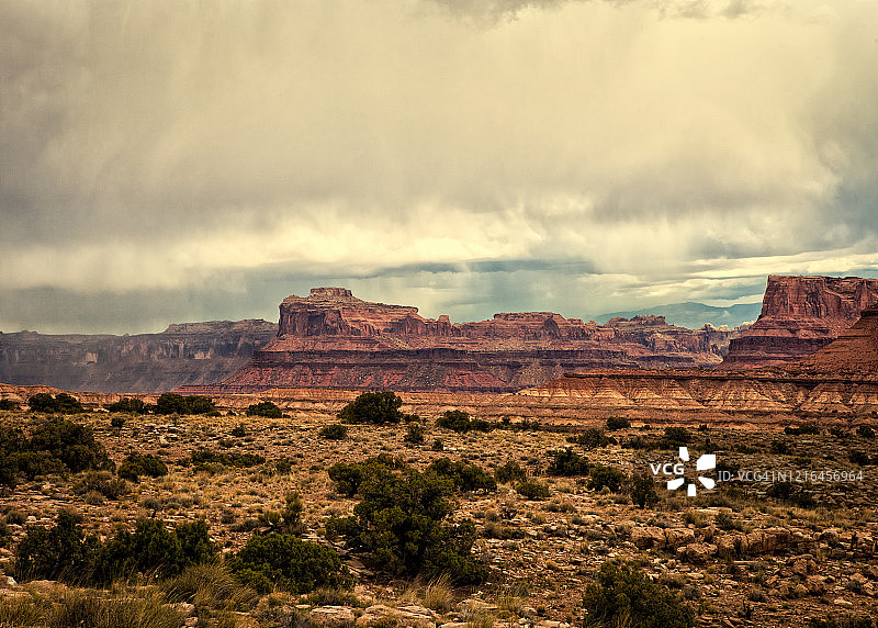 亚利桑那州荒野图片素材