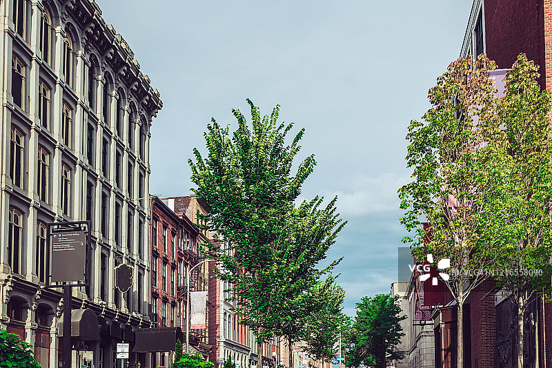 费城夏季阳光明媚的栗树街图片素材