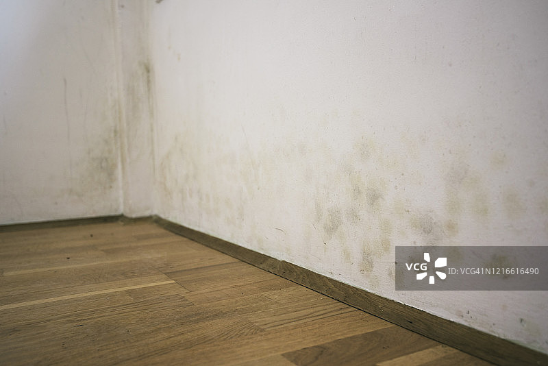 墙壁上的霉菌图片素材