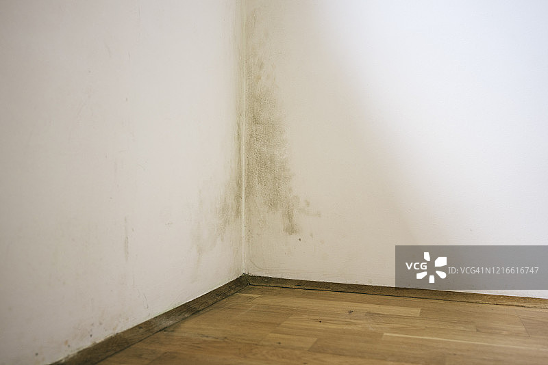 墙壁上的霉菌图片素材