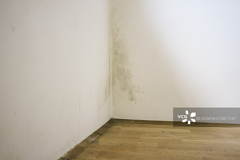 墙壁上的霉菌图片素材