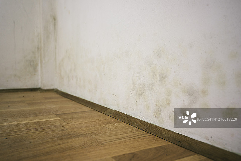 墙壁上的霉菌图片素材