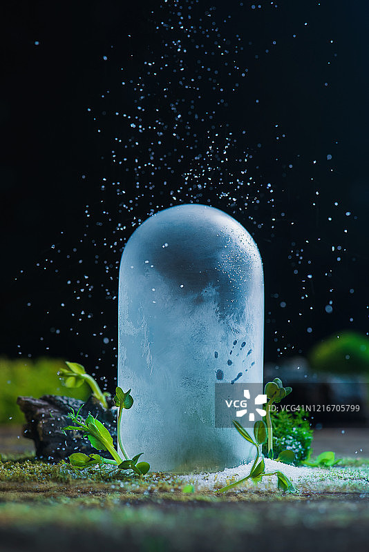 手触冰霜玻璃穹顶：隔离概念图片素材