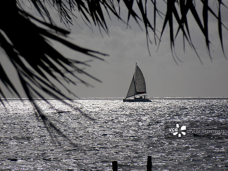 加勒比海的帆船图片素材