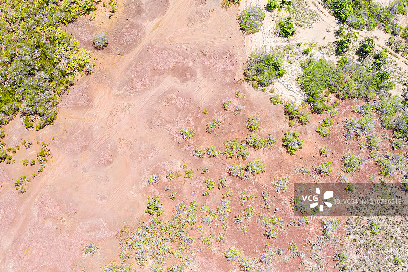 航拍视角：红色泥土平原和散落的红树林图片素材