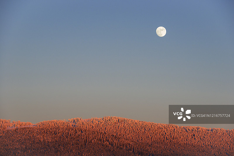 寒冷的波西米亚森林上空的月亮图片素材