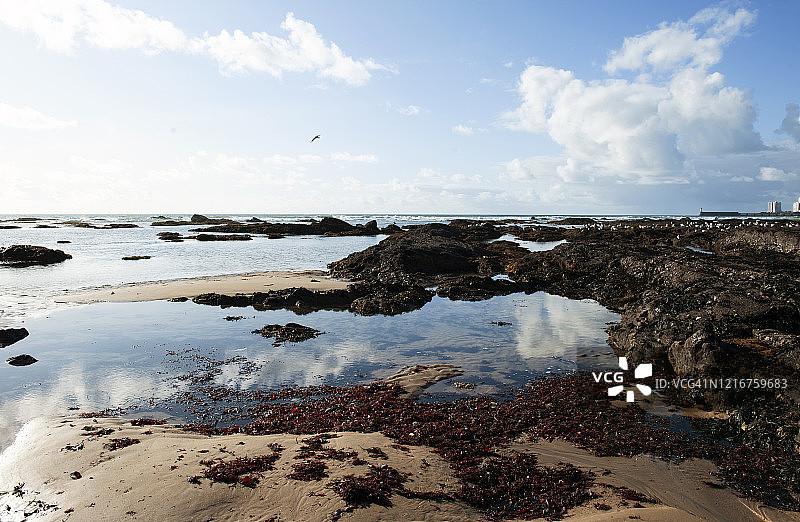 法国西部莱萨布勒多洛讷海岸图片素材