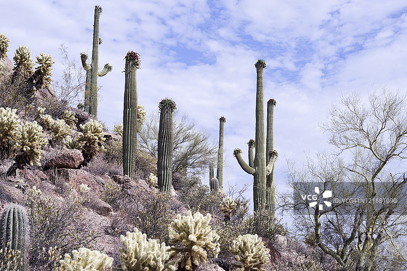 沙漠风光图片素材