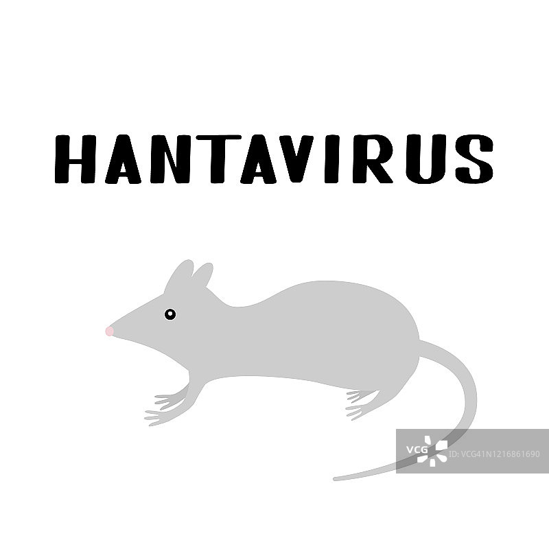 汉坦病毒手印与灰鼠或白鼠分离。新病毒汉坦病毒肺综合征(HPS)。矢量模板印刷海报，横幅，贴纸，传单等。图片素材