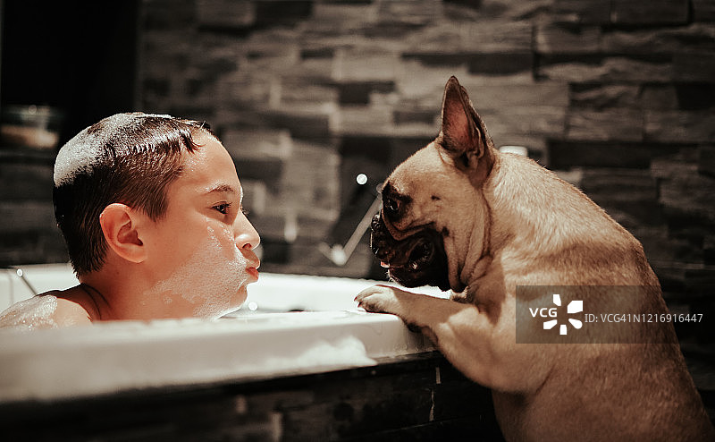 室内家庭场景：男孩和小狗玩耍图片素材