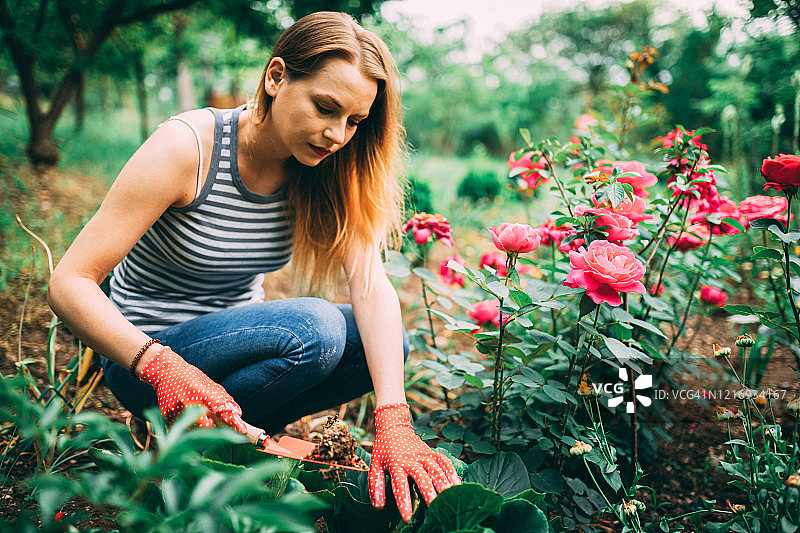 年轻女子在家的后院园艺图片素材