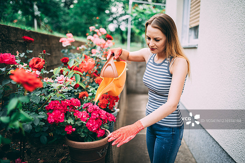 年轻女子在自家后院给花浇水图片素材
