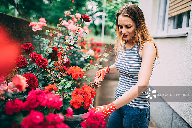 在家后院盆栽鲜花图片素材