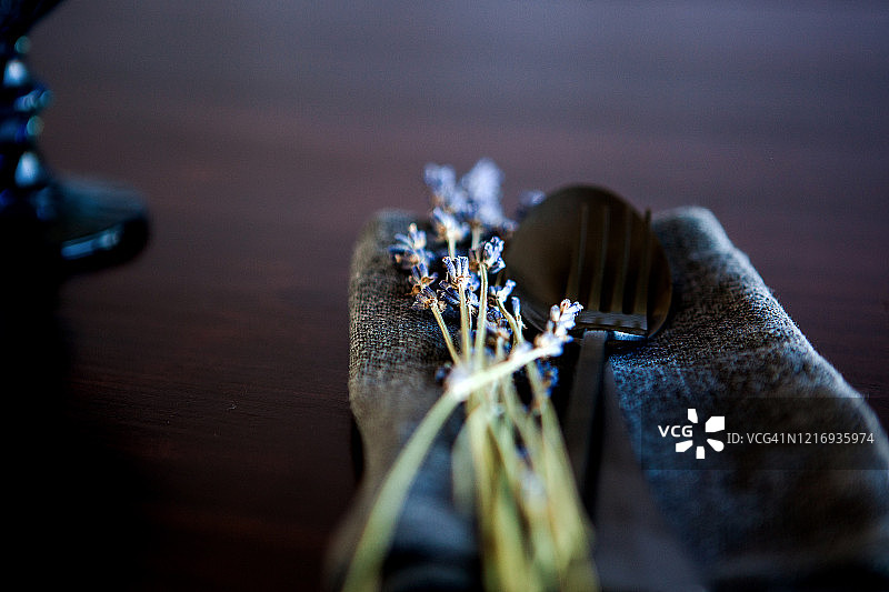 薰衣草图片素材