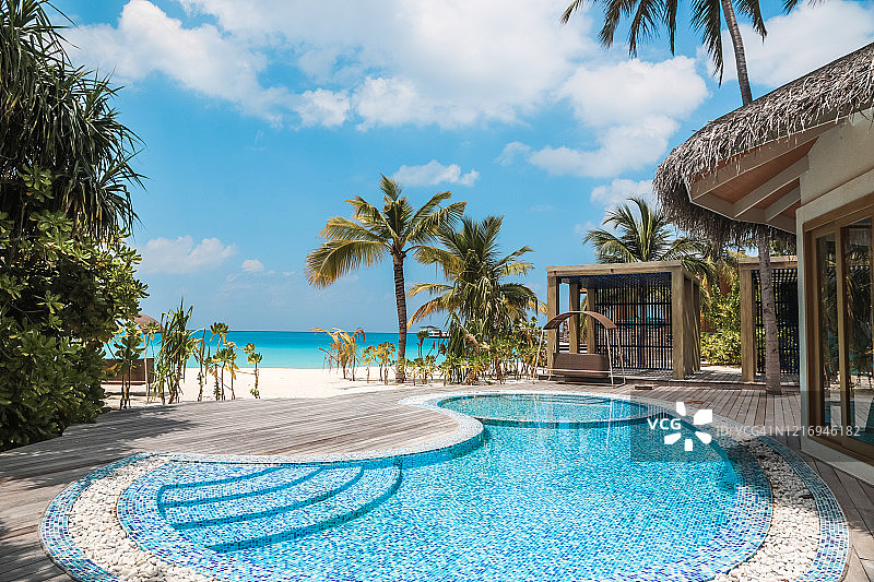 热带棕榈海滩泳池图片素材