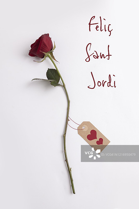 红玫瑰，圣乔治图片素材