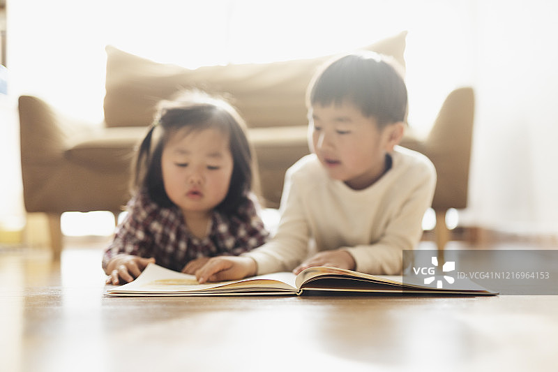 在家一起读书的兄弟姐妹图片素材