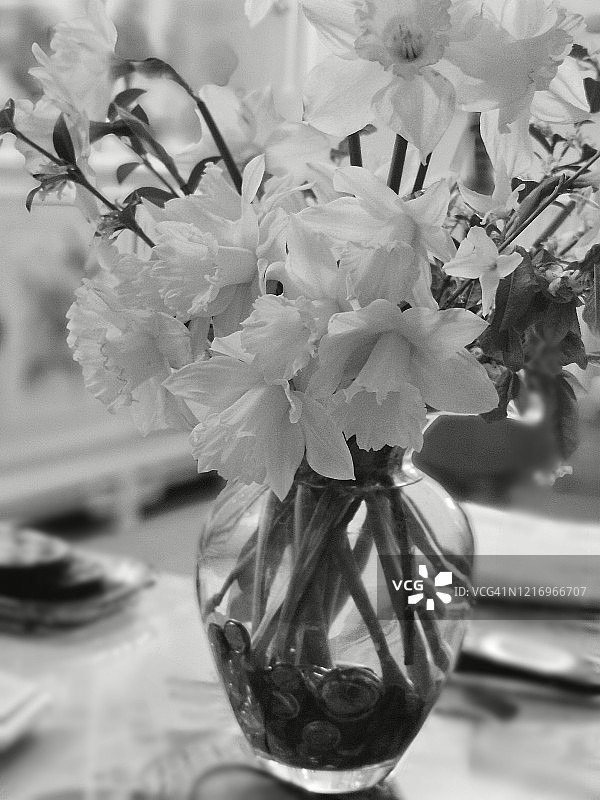 水仙花图片素材