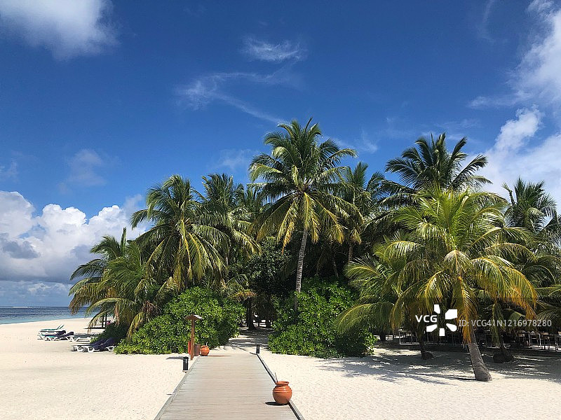 棕榈树环绕的岛屿与码头图片素材