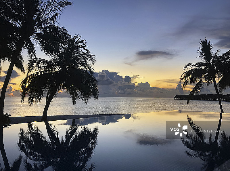 热带日落，无边泳池和棕榈树图片素材