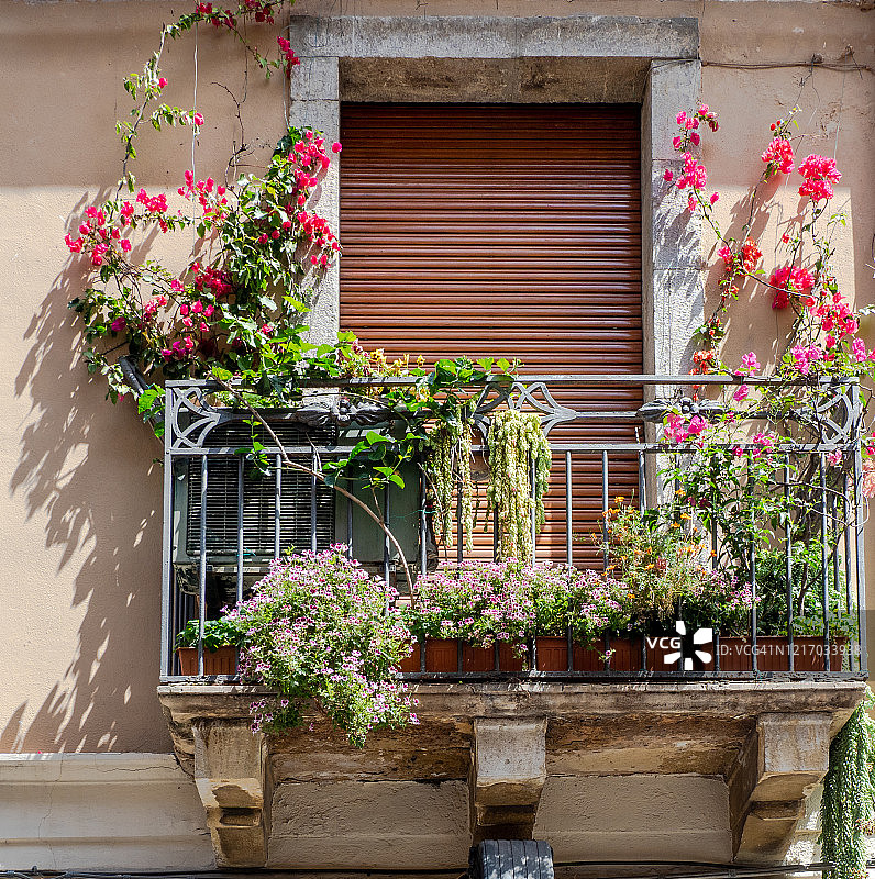 陶尔米纳图片素材