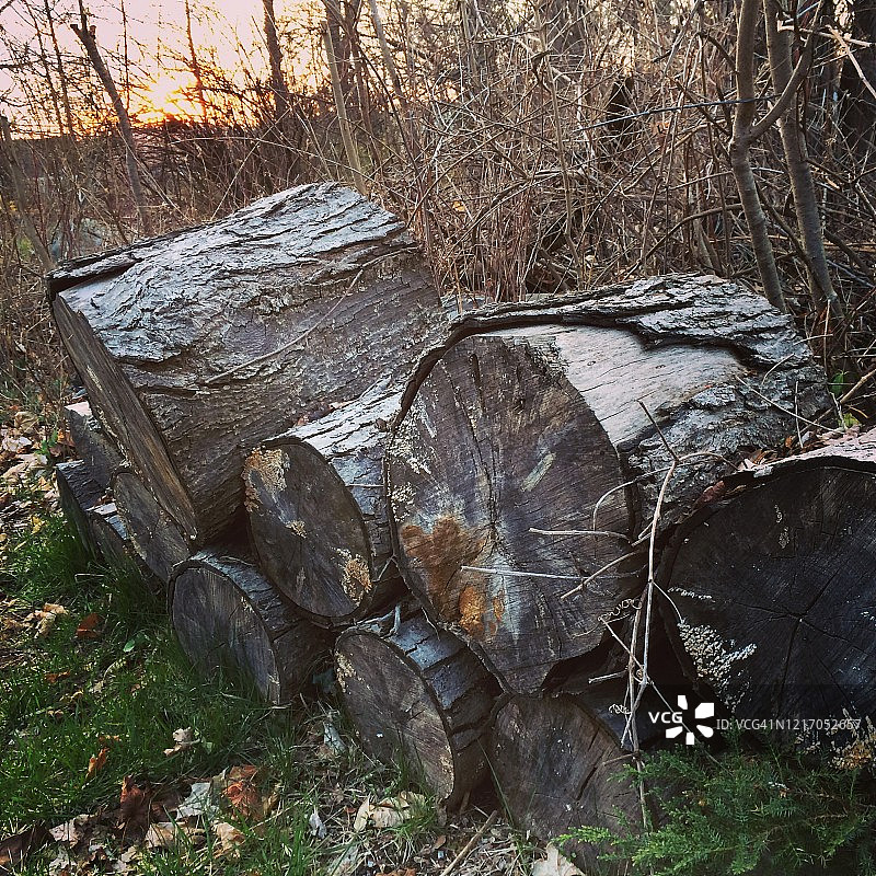 成堆的厚木板图片素材