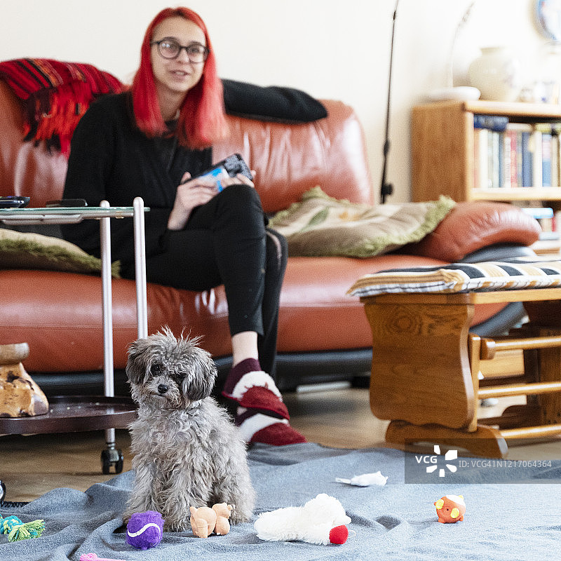 染着鲜红色头发的少女在客厅里和小狗玩耍图片素材